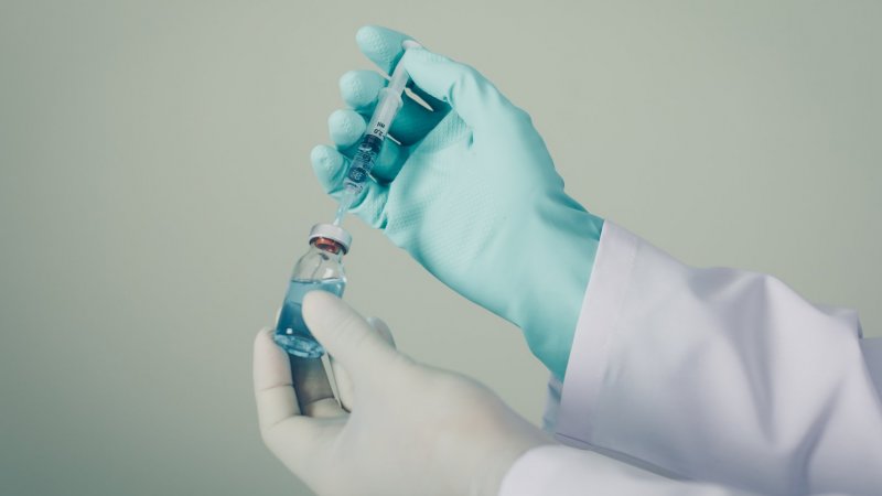 Cientistas produzem vacina que protegeu ratos contra três estirpes do vírus da gripe