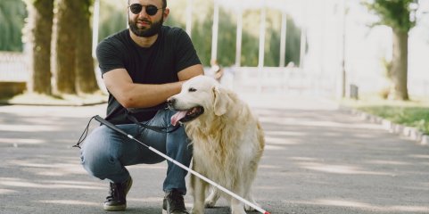 Provedora do Animal recomenda Programa Nacional para proteger cães de assistência