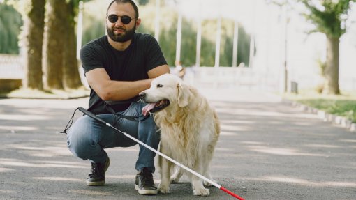 Provedora do Animal recomenda Programa Nacional para proteger cães de assistência