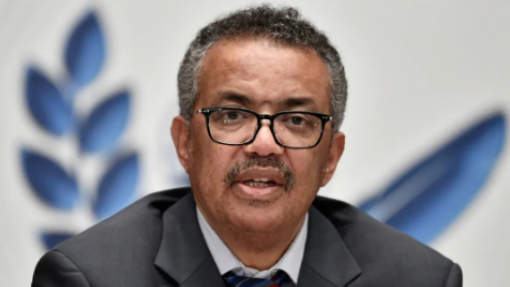 Ébola: OMS alerta para cadeias de transmissão da doença desconhecidas