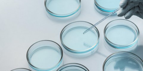Clínica de Lisboa recebe material genético da clínica de fertilidade que encerrou em Cascais