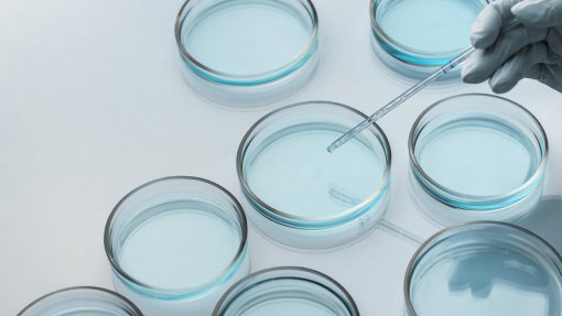 Clínica de Lisboa recebe material genético da clínica de fertilidade que encerrou em Cascais