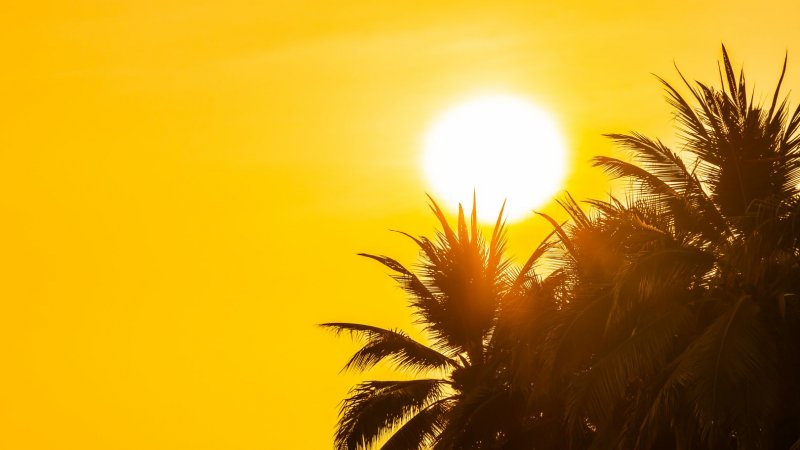 IPMA eleva para 17 distritos sob aviso amarelo devido ao calor