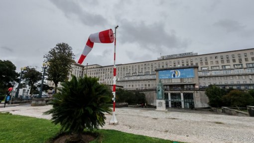 Criança de 10 anos helitransportada para Lisboa após acidente em Rio Maior