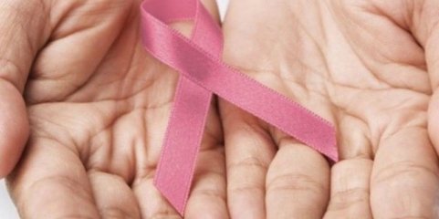 SANTA CRUZ: Liga Contra o Cancro promove festa de encerramento do projeto “Um Dia Pela Vida – Graciosa”