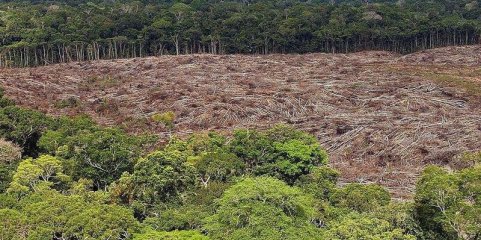 Número de ativistas ambientais mortos no Brasil duplicou em 2025 - ONG