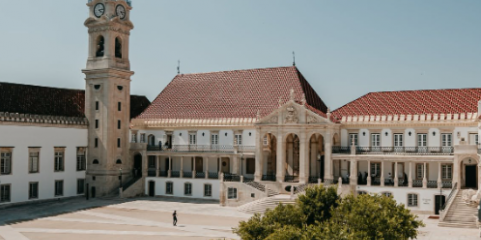 Universidade de Coimbra estuda terapêutica inovadora para traumatismo cranioencefálico