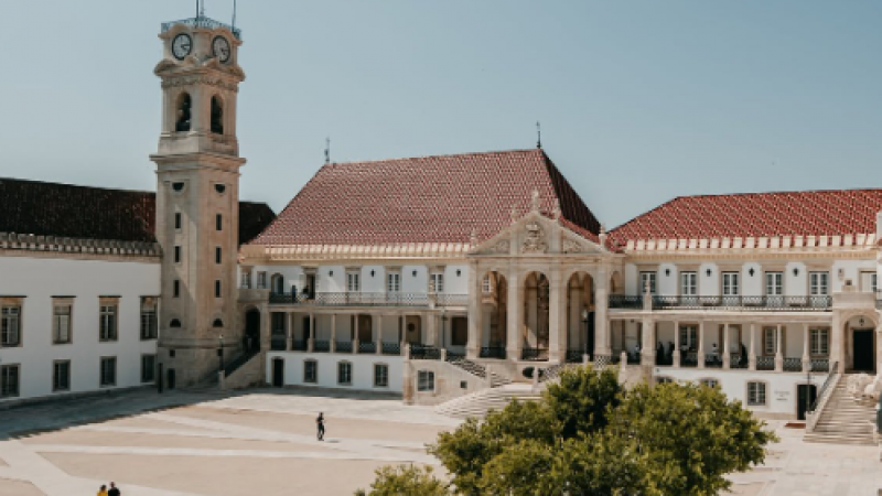 Universidade de Coimbra estuda terapêutica inovadora para traumatismo cranioencefálico