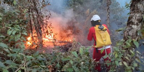 Incêndios: Segundo bombeiro sofre ferimentos ligeiros no combate às chamas na Trofa