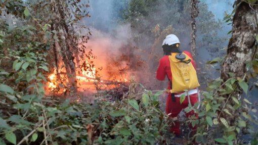 Incêndios: Segundo bombeiro sofre ferimentos ligeiros no combate às chamas na Trofa