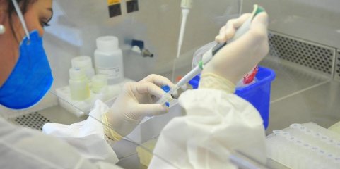 Porto acolhe Encontro Nacional de Jovens Investigadores em Oncologia