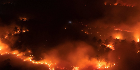 Incêndios na Indonésia causam problemas respiratórios a mais de 170 mil pessoas