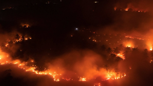 Incêndios na Indonésia causam problemas respiratórios a mais de 170 mil pessoas