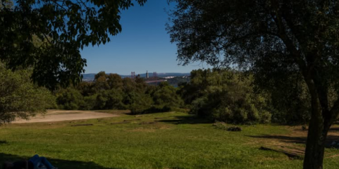 LISBOA: Cidade assinala Dia Mundial do Pulmão com atividades no Monsanto