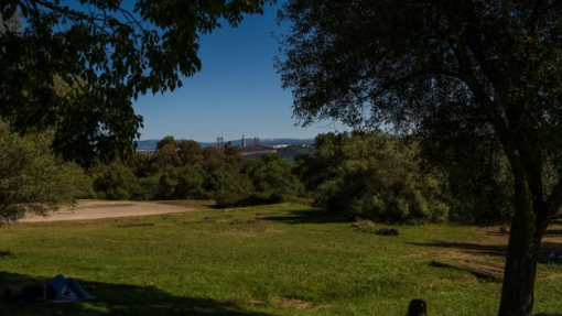 LISBOA: Cidade assinala Dia Mundial do Pulmão com atividades no Monsanto