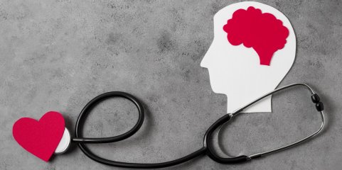 OMS avalia reforma da saúde mental em Portugal que vai entrar num novo ciclo