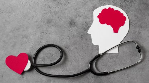 OMS avalia reforma da saúde mental em Portugal que vai entrar num novo ciclo