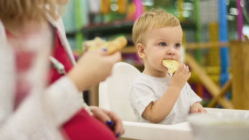 DGS lança primeiras orientações para alimentação nas creches