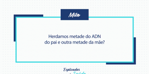 Herdamos mesmo metade do ADN da mãe e metade do pai?