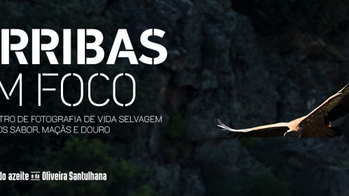 MIRANDA DO DOURO: Encontro de fotografia Arribas em Foco regressa a 10 e 11 de outubro