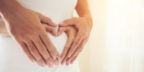 OE2027: Associação propõe Programa Nacional para a Fertilidade