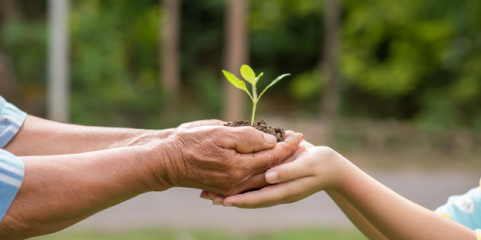 GRANDE PORTO: Lançada STCP Solidária para promover iniciativas de responsabilidade social e ambiental