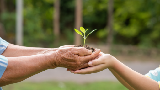 GRANDE PORTO: Lançada STCP Solidária para promover iniciativas de responsabilidade social e ambiental