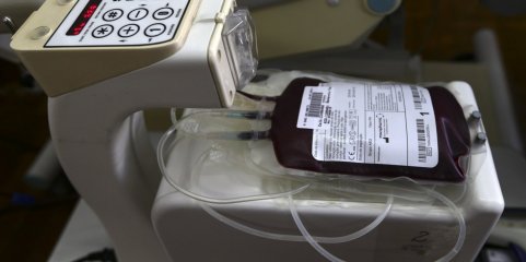 Federação de dadores alerta para escassez de reservas de sangue no Hospital de Santarém