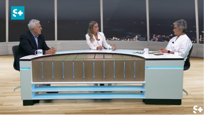Utilização do SNS por estrangeiros é “sobretudo uma falsa questão”, defende Francisco Ramos