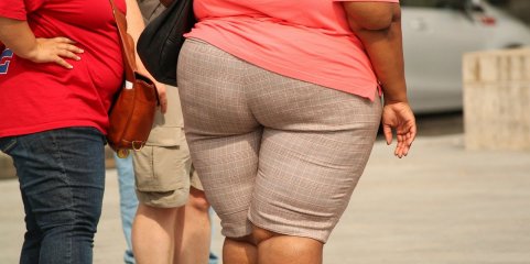 Cientistas descobrem que obesidade pode alterar e prejudicar relaxamento do coração