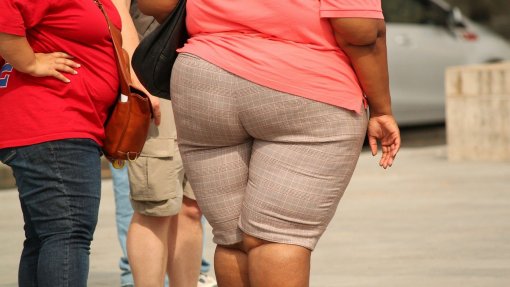 Cientistas descobrem que obesidade pode alterar e prejudicar relaxamento do coração