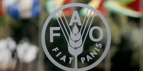 Cabo Verde promove economia azul e verde para dar alternativas às famílias