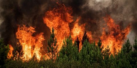 Adolescentes moçambicanos levam robô de combate a incêndios a concurso na Coreia do Sul