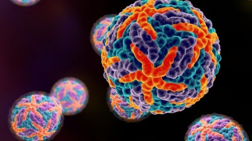 Flórida regista mais de 250 casos de dengue