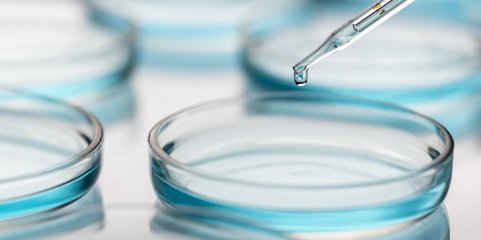 Ébola: Novo ensaio vai testar vacinas específicas contra vírus Bundibugyo