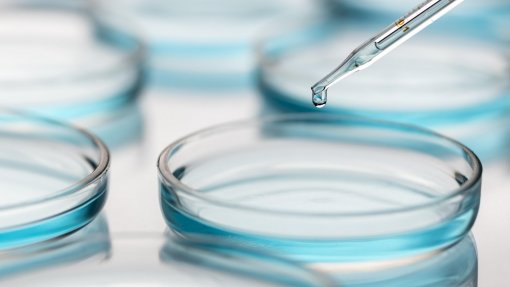 Ébola: Novo ensaio vai testar vacinas específicas contra vírus Bundibugyo
