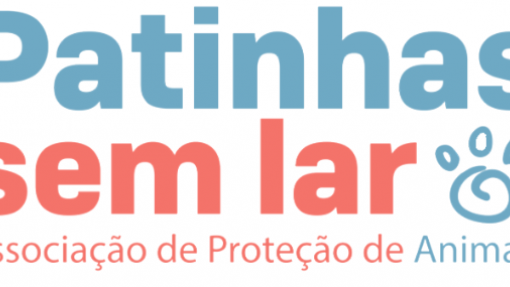 Patinhas sem Lar deve 34 mil euros a clínicas e quer mais apoio da Câmara de Espinho