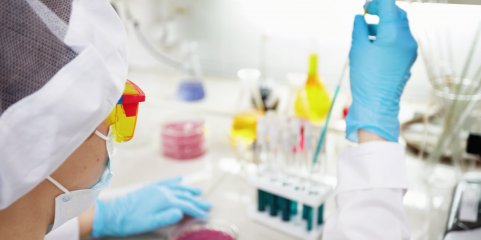 Parlamento aprova Estatuto para melhorar a regulação da procriação medicamente assistida