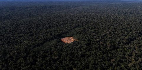 Desmatamento na Amazónia e no Cerrado brasileiro com a menor taxa da série histórica