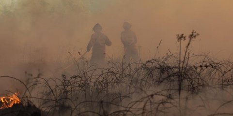 Vinte e quatro concelhos de cinco distritos do país em risco muito elevado de incêndio