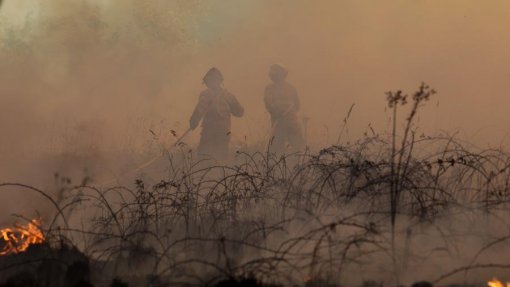 Vinte e quatro concelhos de cinco distritos do país em risco muito elevado de incêndio
