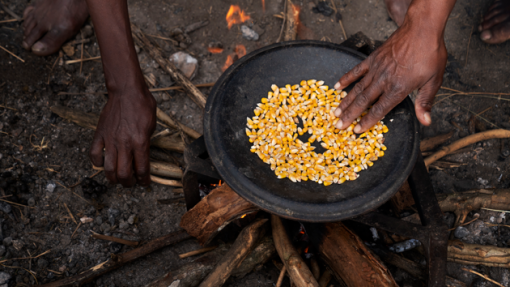 Insegurança alimentar grave subiu de 5,6% para 8,3% em dois anos em Cabo Verde