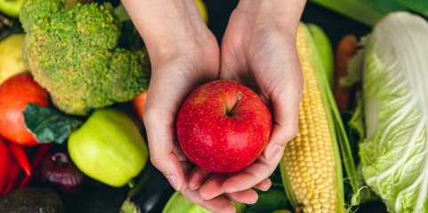 ÉVORA: Segurança alimentar e nutricional em debate