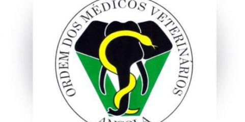 Ordem pede valorização e remunerações justas para médicos veterinários em Angola