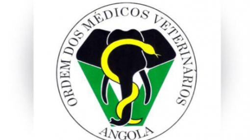 Ordem pede valorização e remunerações justas para médicos veterinários em Angola