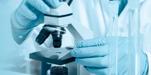 Variante de proteína que pode ajudar a controlar o cancro descoberta pela Universidade de Coimbra