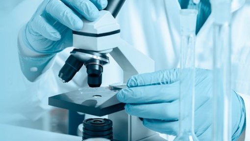 Variante de proteína que pode ajudar a controlar o cancro descoberta pela Universidade de Coimbra