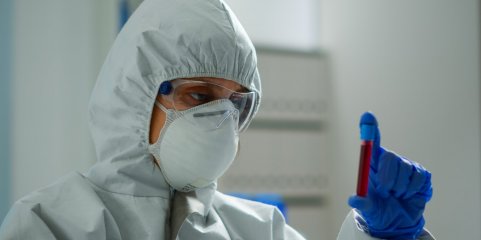Vírus shamonda detetado pela primeira vez em humanos em França