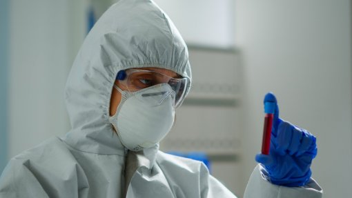 Vírus shamonda detetado pela primeira vez em humanos em França
