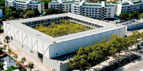 Escola Secundária de Cascais retomou atividades após análises à qualidade do ar